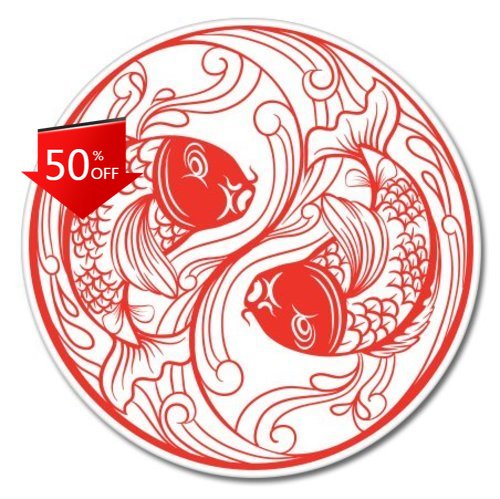 Koi Fish Yin Yang Unique Campe - Laptop Unique Accessories review and price